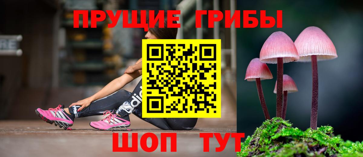 Псилоцибиновые грибы GOLDEN TEACHER Надым